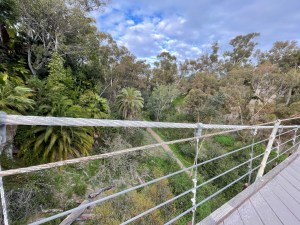 Bruce bridge in San Diego