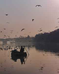 Boat on a river before a bridge. Birds in the air and on water.